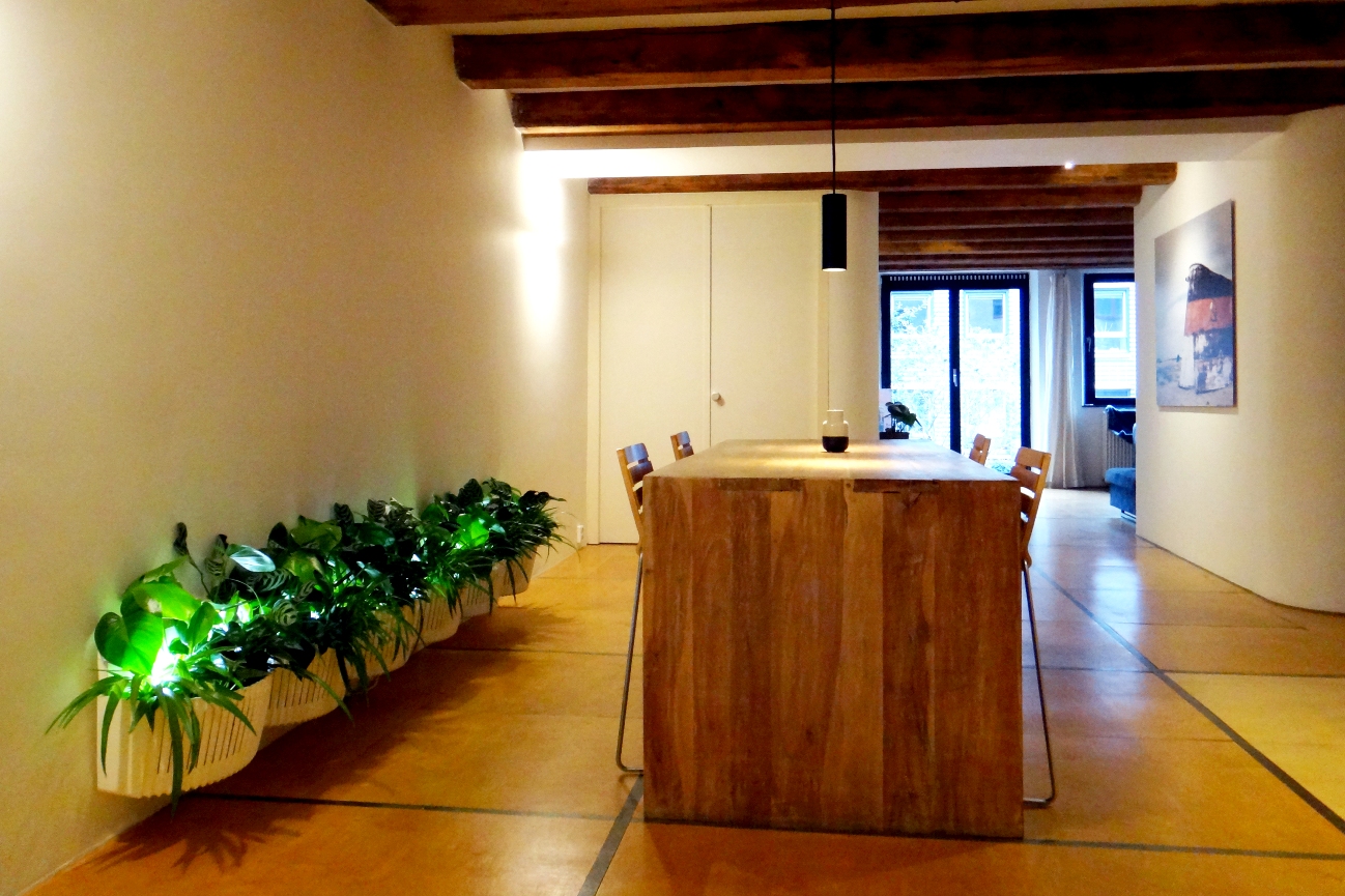 plantenrij-in-huiskamer